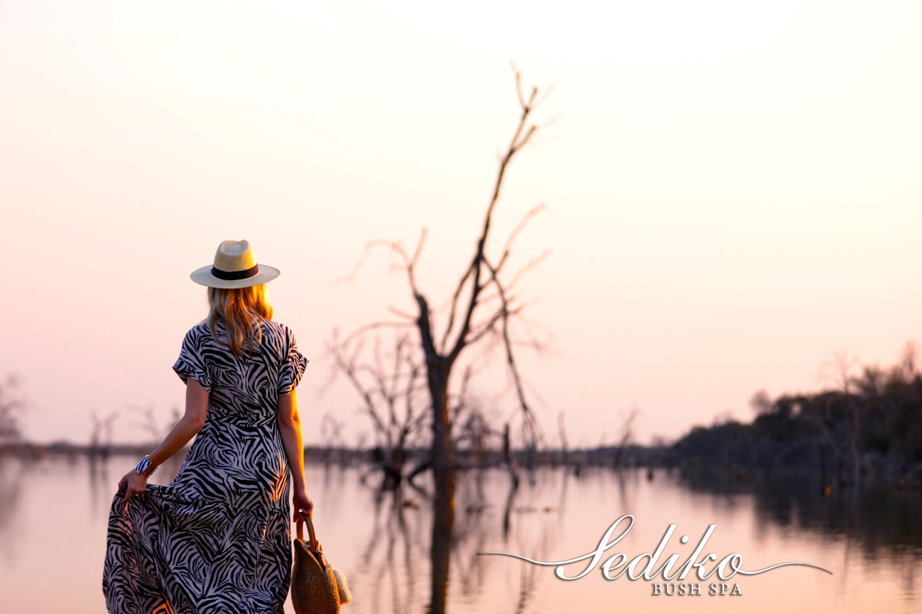 277571245 351641663652098 7840366291763303943 n