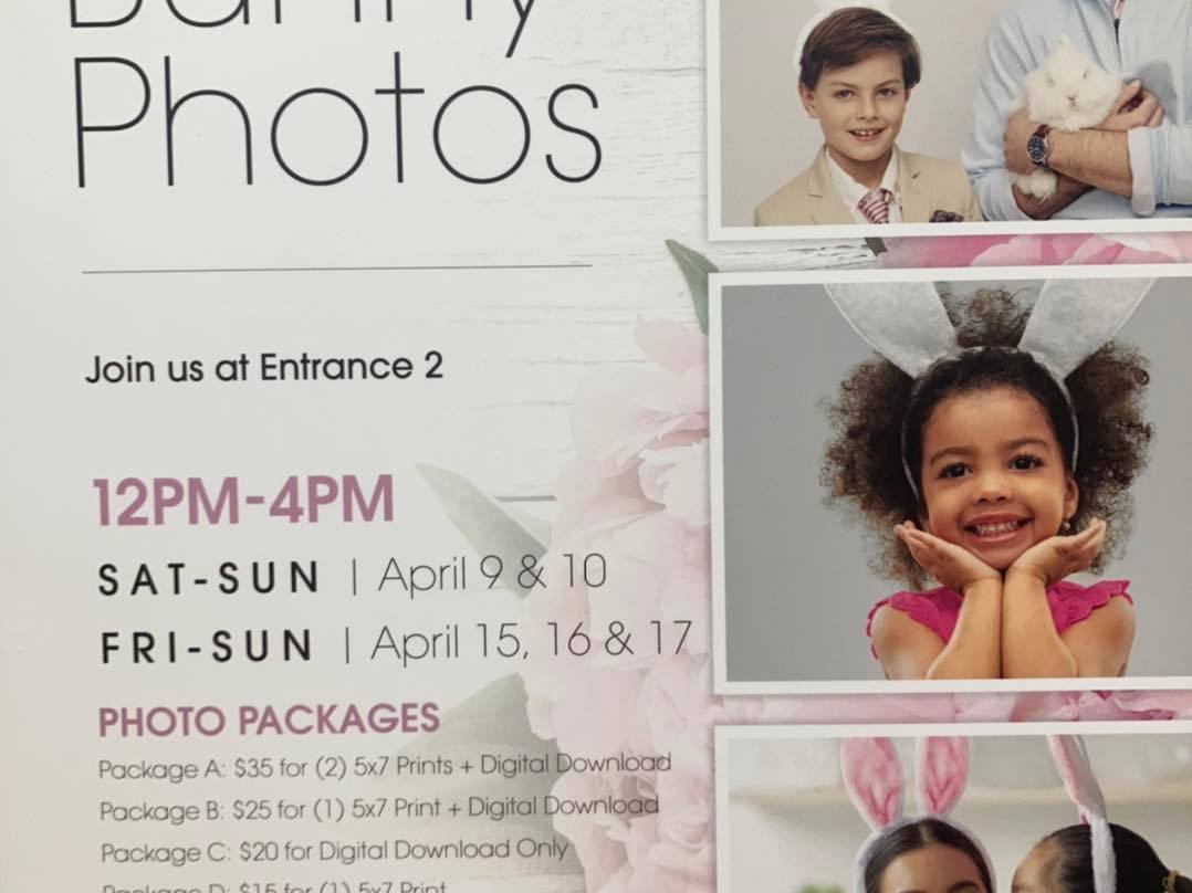 278700139 536330951257998 1525264517238387027 n