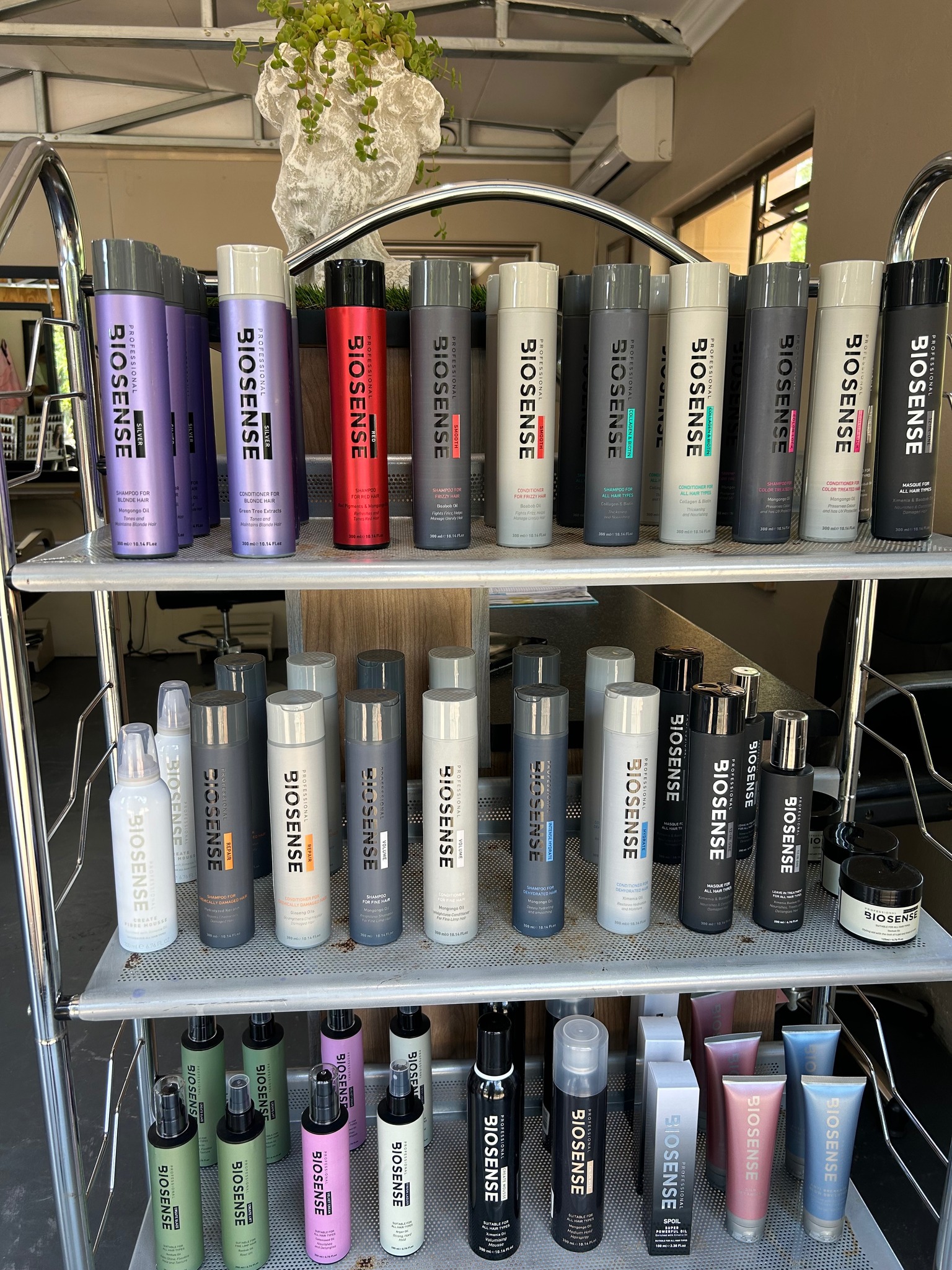 430476927 861761119296588 4353368750894151408 n