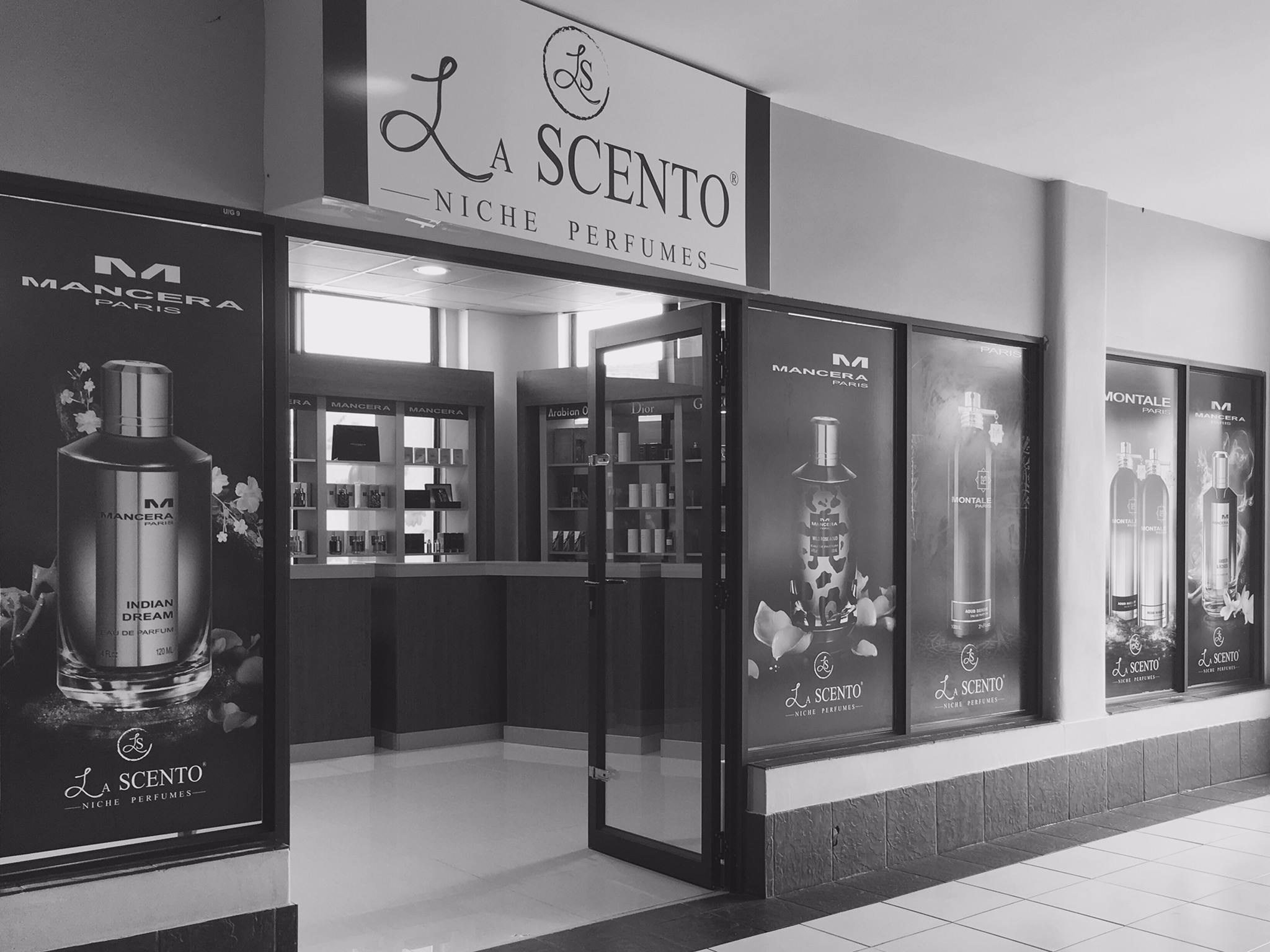 472153600 929725195937801 7232442732273941318 n