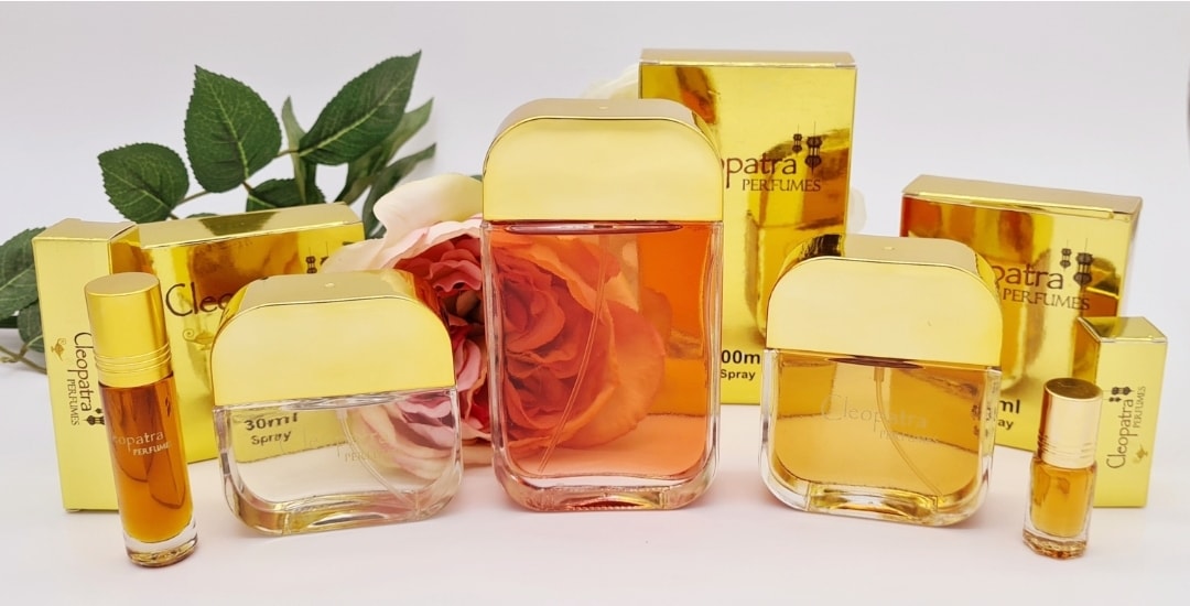 477861869 1311823200511268 521444249342950102 n