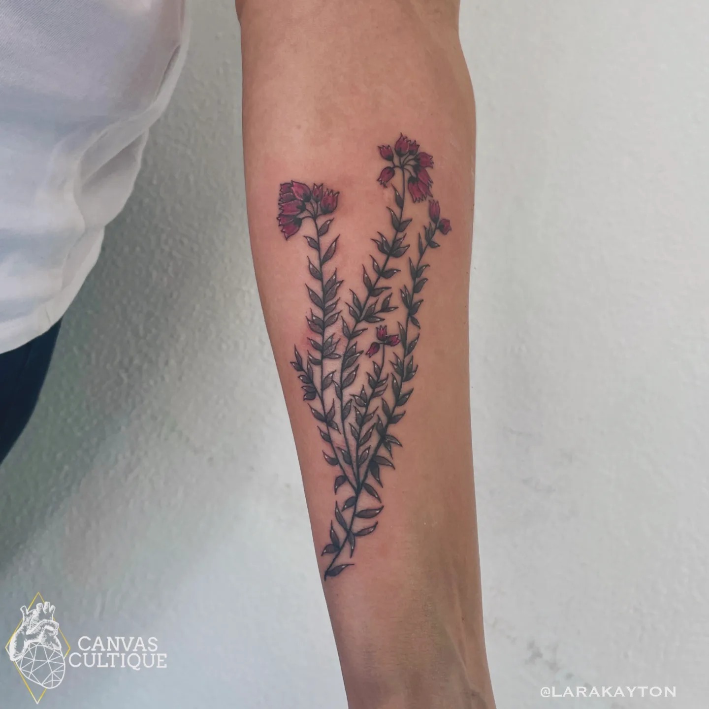 Studio57 Canvas Cultique Tattoo Studio Sandton