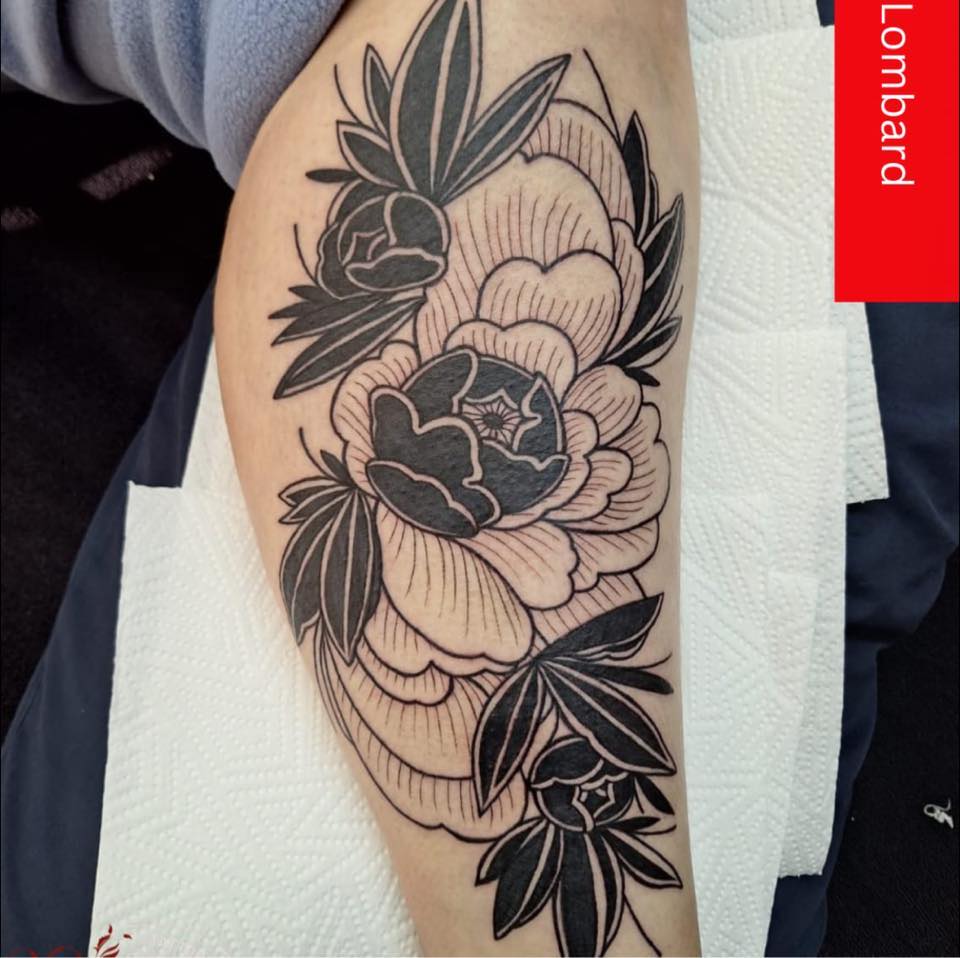 506461193 1291369966319775 8851594994165790589 n