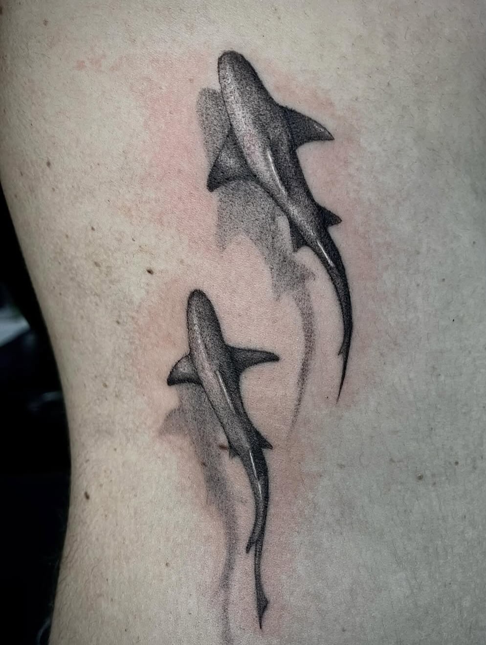 Black Cannon Tattoos Cape Town