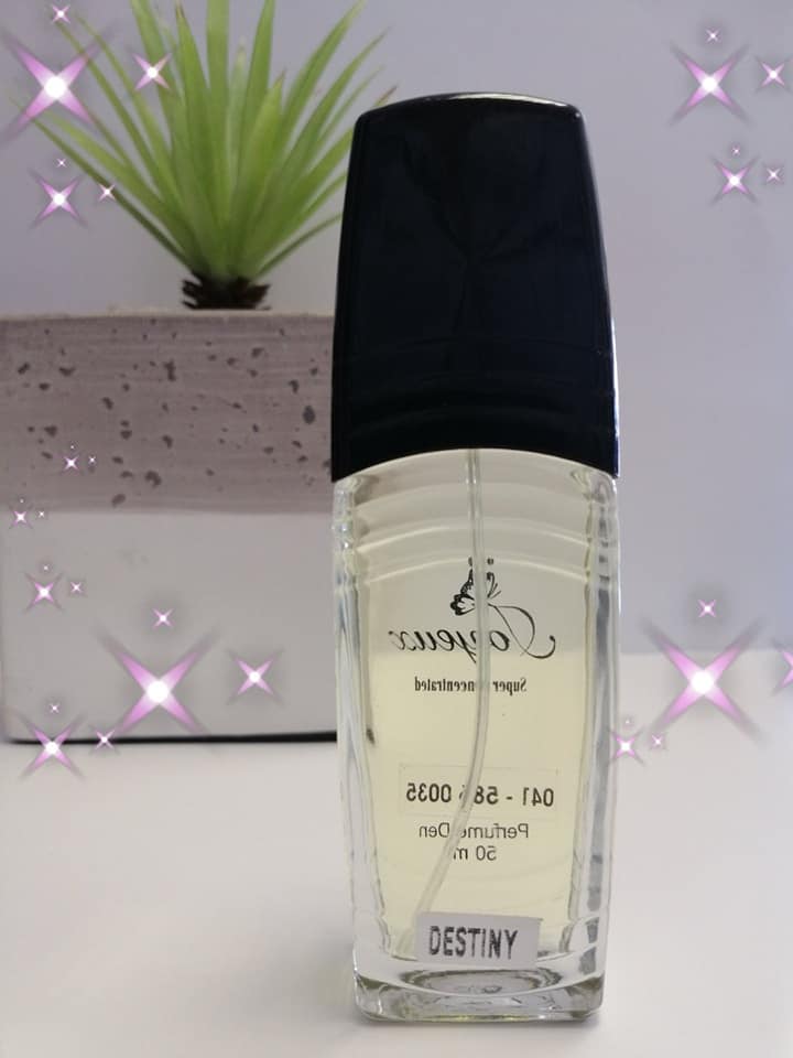 70015761 2303266206588738 7674343887724347392 n