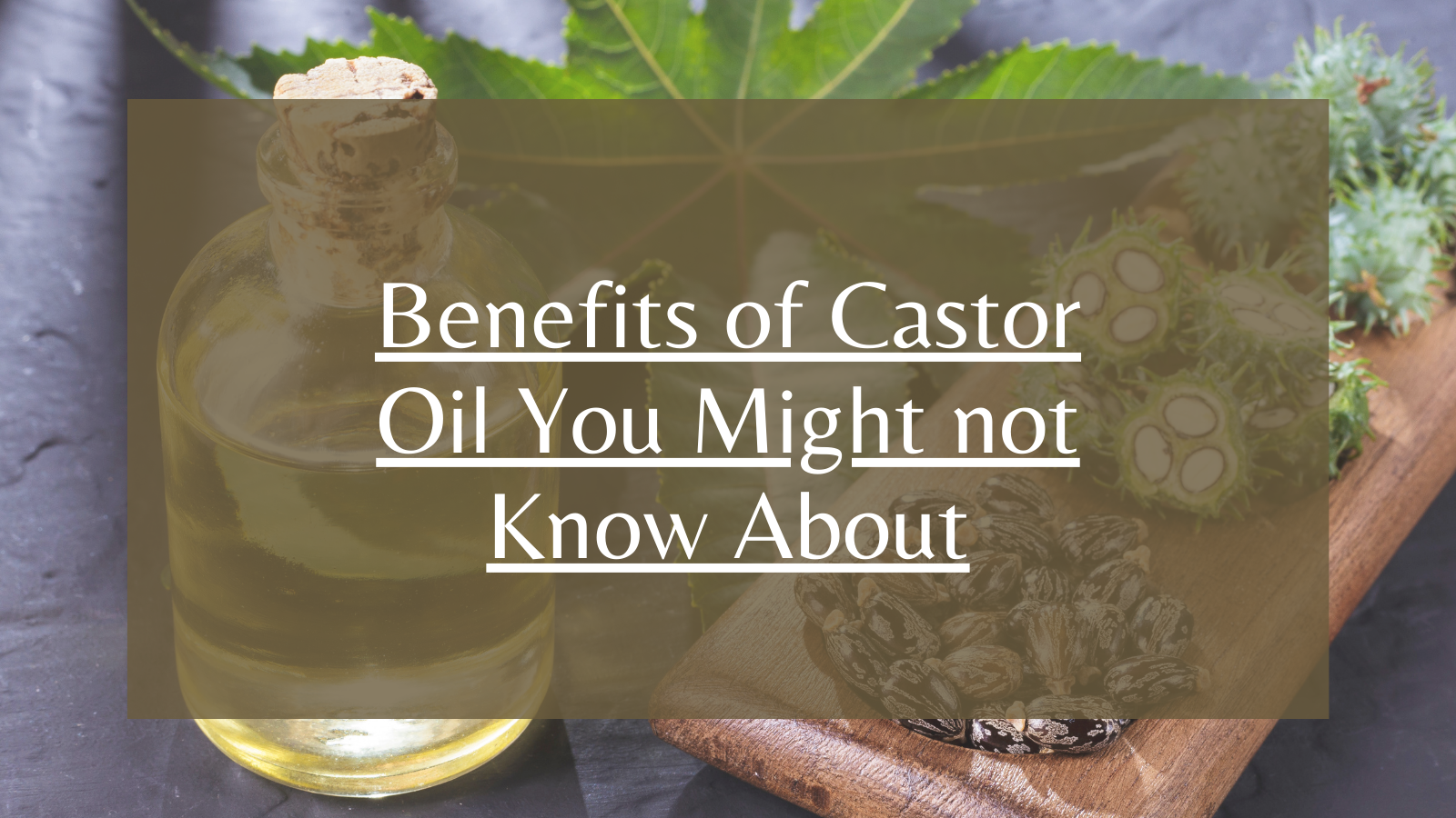 Benefits of Castor Oil You Might not Know About