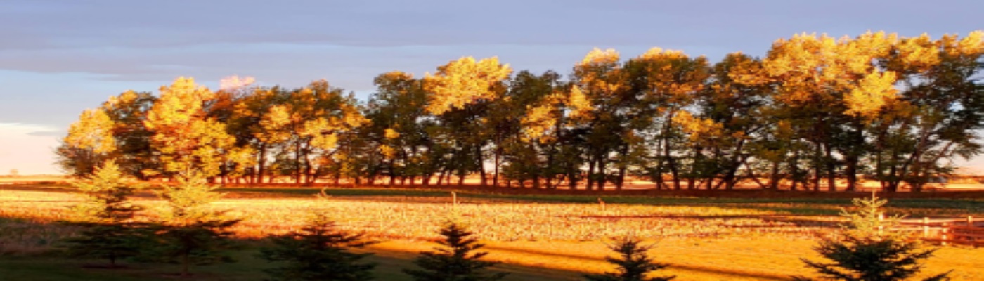 Prairie Winds Centre