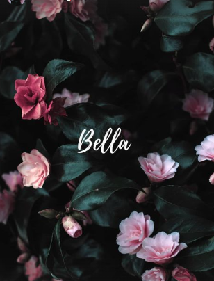 Bella Beauty