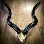 Tattoos by Chantelle V