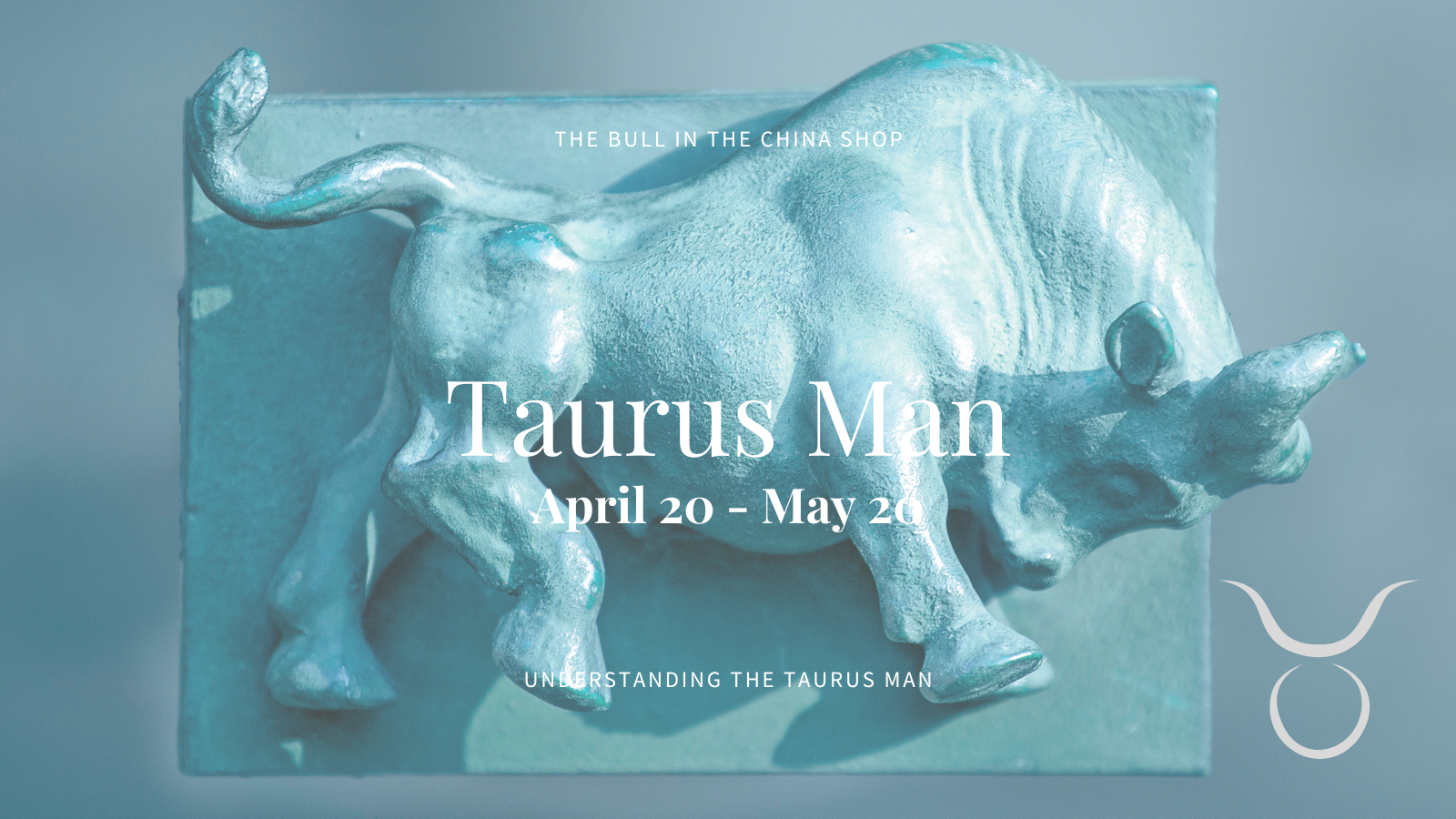 Taurus Man 1