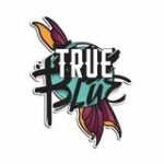 True Blue Professional Tattoo Studio 