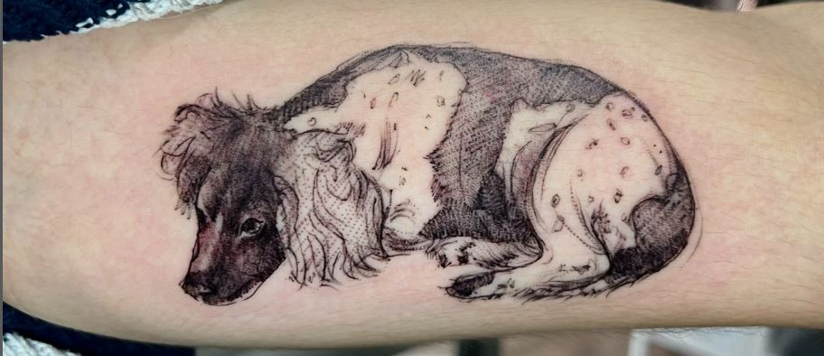 Red rabbit tattoo studio Germiston