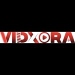 VidXora | Podcast Video Editing Services